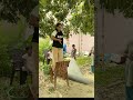 Galat rahi tabna kahi