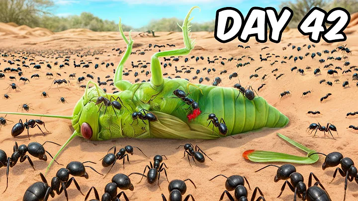 1,000 Ants vs Deadly Prey thumbnail