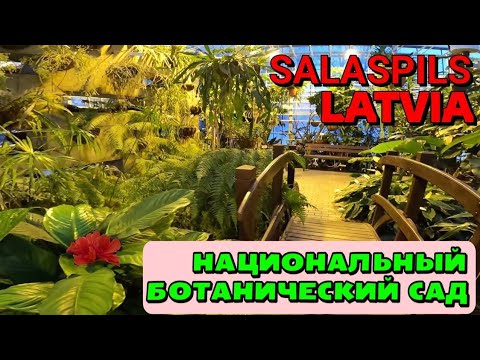 Video: Botanical vaj (Botaniskais darzs) kev piav qhia thiab duab - Latvia: Riga