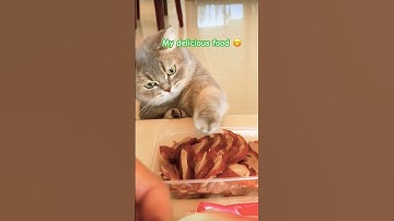 When You Realize the whole Food Isn’t Yours 😭🍗# shorts #funny #trending