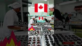 Канада шоколадная фабрика #работа #жумыс #канада