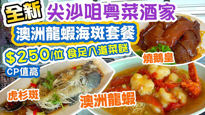 【香港美食】全新開幕 尖沙咀粵菜酒家 港鐵直達 地點方便 海鮮套餐 澳洲龍蝦海斑套餐 $250/位 燒鵝 石斑 食八道菜 Isquare 港匯軒 Hong Kong Food Tour | 吃喝玩樂 - 天天要聞