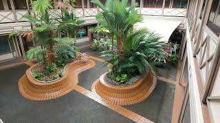 [4K][HD[SD] Walking Suva City Fiji Islands 2023 B Roll