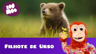 que barulho é esse (filhote de Urso)