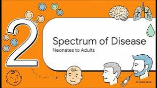 Streptococcus agalactiae (Group B Strep)