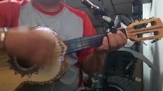 Vihuela, bebiendo para olvidar.