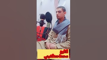 سوره (التكاثر) بصوت القارئ محمداحمدالشيمي