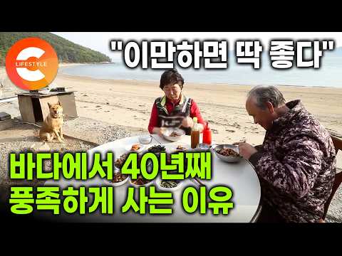1년을 기다렸다! "일반 오징어 4배 가격" 몸값 비싼 갑오징어 잡으러 나가는 베테랑 어부 부부의 기술ㅣ봄 바다의 달인들ㅣ#한국기행