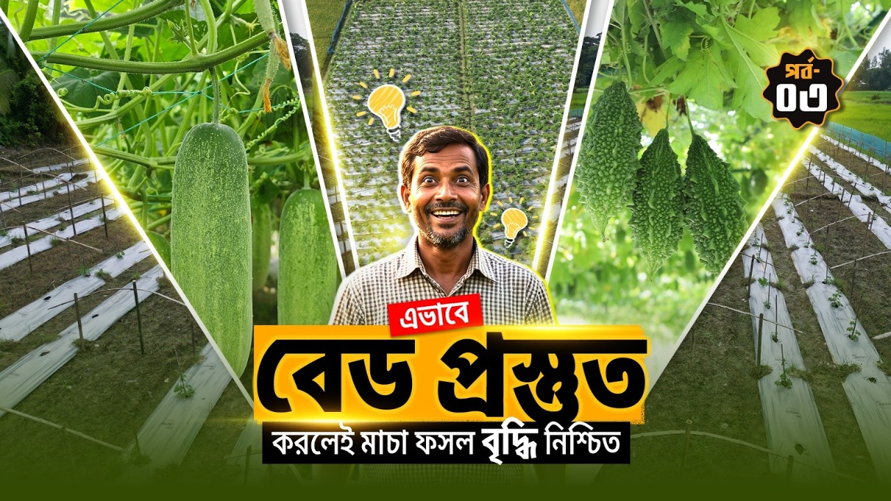 এভাবে বেড প্রস্তুত করলে মাচা ফসলের দুশ্চিন্তা একেবারে শেষ!