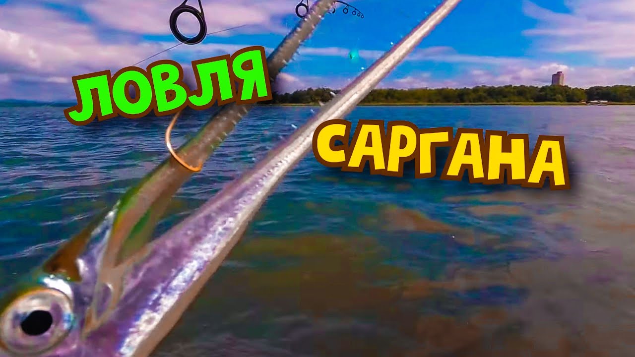ЛОВЛЯ САРГАНА на БОМБАРДУ. СНАСТЬ на САРГАНА. Отличный клёв.