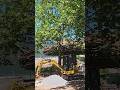 Kran Bagger Neuheit News Tripsdrill #themepark #trending #neuheit #attraction #2026 #new #fyp #fy