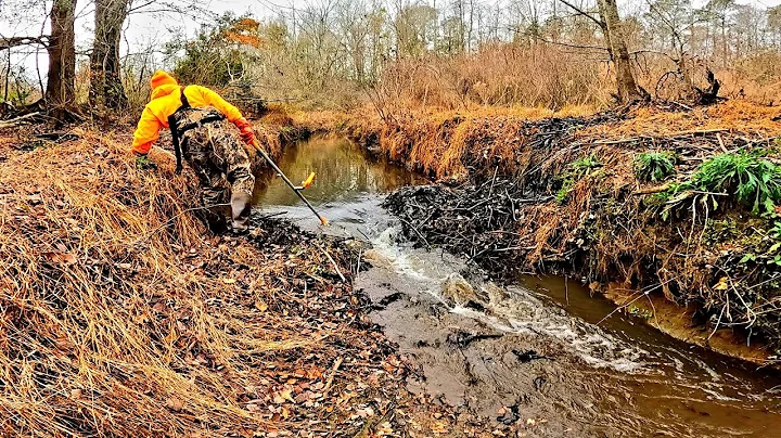 BEAVER DAM REMOVAL || First Time In Beaver Dam Cre...