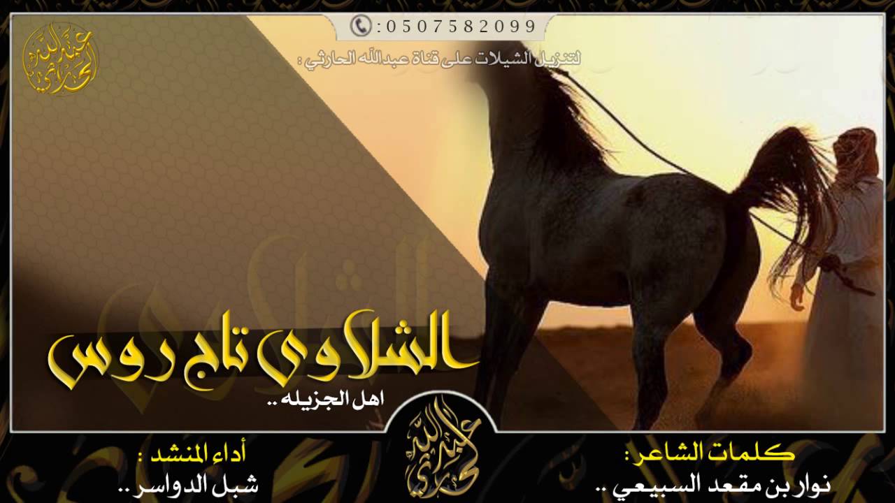 حصريا شيلة : الشلاوى تاج روس اهل الجزيله || أداء : شبل الدواسر | طرب x طرب + MP3 HD2016