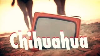 DJ BoBo - CHIHUAHUA (oficiální hudební video)