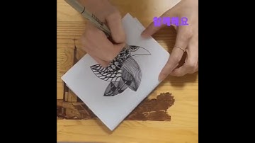 난!! 젠탱글 시간  #젠탱글 #DOVAN2022 #MKYU #1일1젠탱글 #젠탱글_숏츠