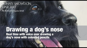 Drawing a dog
