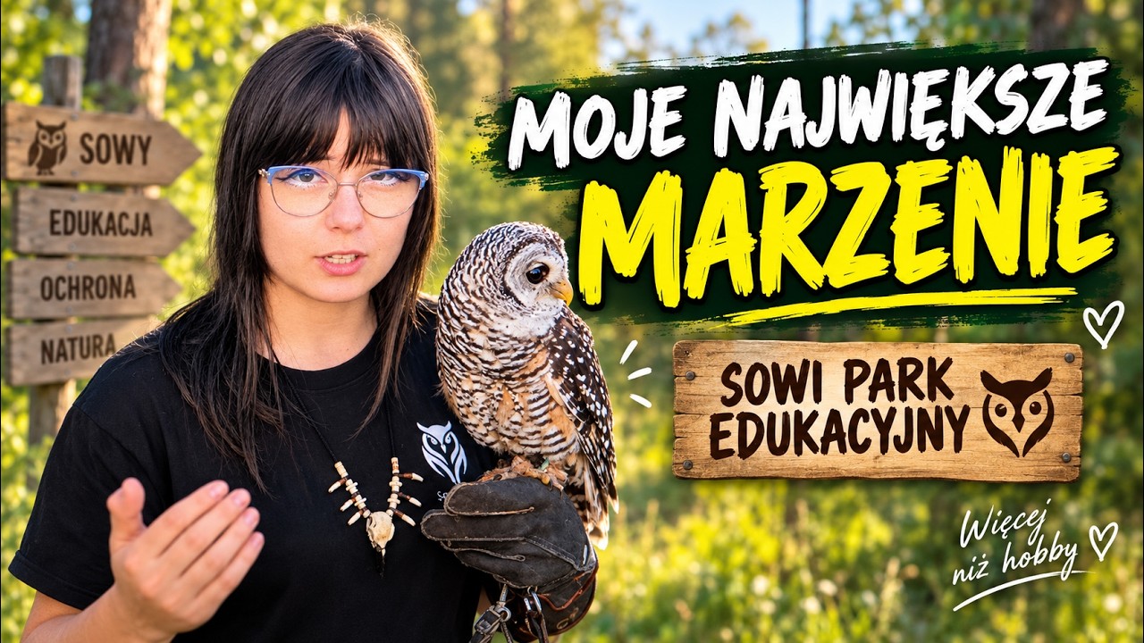 Odtwarzacz wideo YouTube