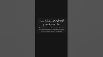 تلاوة مؤثره للشيخ احمد العجمي 😇♥ #تلاوة_خاشعة