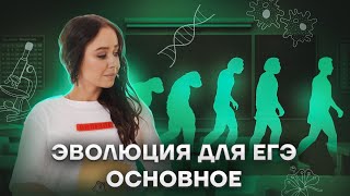 Эволюция для ЕГЭ. Основное. + 20 баллов к результату | Биология ЕГЭ 2023 | Умскул