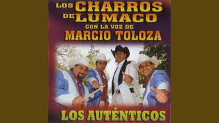 Mix de Exitos