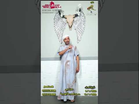 من أعمالنا حمله سناب شات ل مسرحية عنتر المفلتر