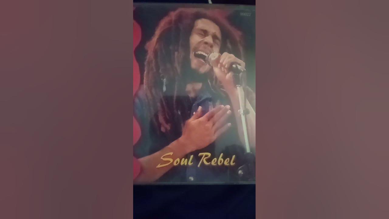 Bob Marley #shorts #music #reggae #dub #songs