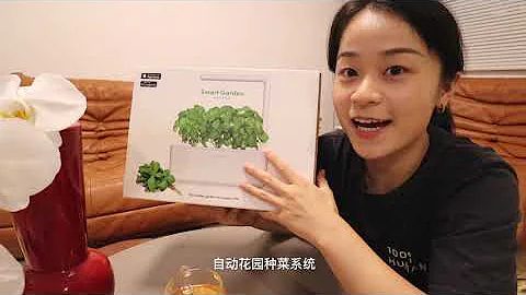 小水