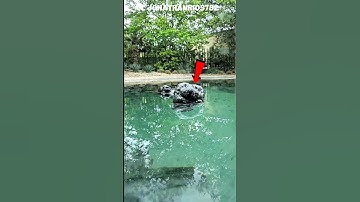 DO NOT CLICK THE SOUND BOHOHOHO #artinwood #memeedit #crazilyfunny #actingchallenge #tepukkartu