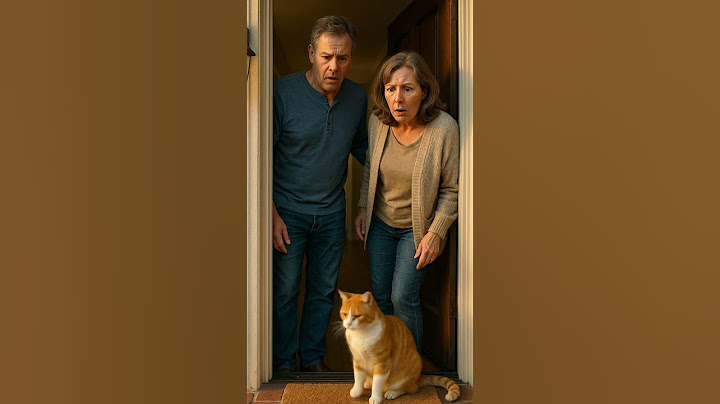 He Kicked Me Out… But I Came Back To Save Him 🐾#CatShorts #EmotionalStory #AnimalShorts #catlove
