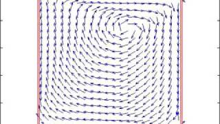 cavity flow movie