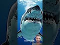 #great #fishing #respect #trending #edit #sigma #automobile #shorts #youtubeshorts