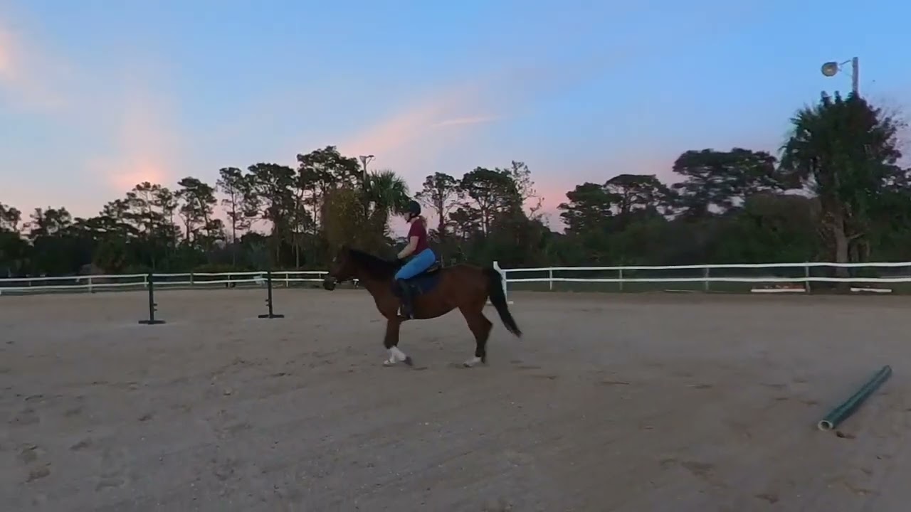 Beth and Pumpkin - 2025 Jan 5th