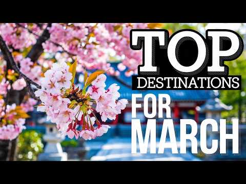 Top 5 Spring