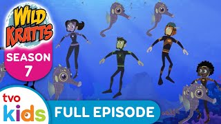 WILD KRATTS  No Name Dream  NEW Season 7 (2024) ✨FULL EPISODE on TVOkids!