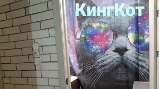 Котик Бегимотик -Тоша.