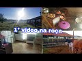 VLOG: COMEÇANDO A ROTINA NA FAZENDA + TOUR NA CASA DESORGANIZADA || ALMOÇO NO FOGÃO A LENHA *roça*
