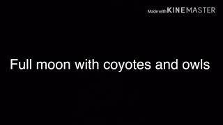 Full moon with coyotes and owls sounds.
