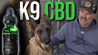 K9 CBD? by Second Chance K9 Service Dogs 228 views 2 years ago 6 minutes, 38 seconds