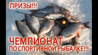 ЧЕМПИОНАТ ПО СПОРТИВНОЙ РЫБАЛКЕ! ВОТ ЭТО ДА! НЕШУТОЧНЫЕ ПРИЗЫ!