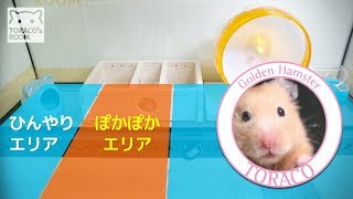 【寒さ対策】ハムスターのお家に暖房器具を設置したよ。【ハムスター／キンクマ】/House of a warm Hamster TORACO.