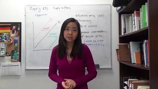 Mini video: Supply (3)