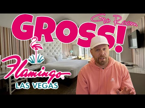 Videó: Képek a Flamingo Las Vegas Hotel medencéjéről