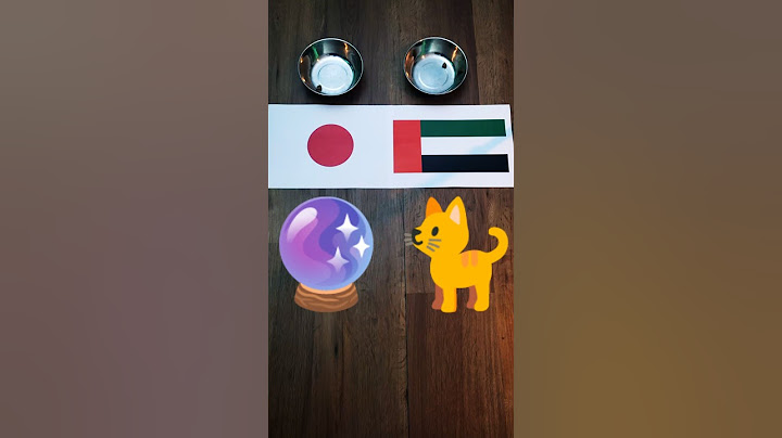 ⚽️😺 Oracle Cat predicts Japan vs. UAE 2:0 #AFCU17 #OracleCat