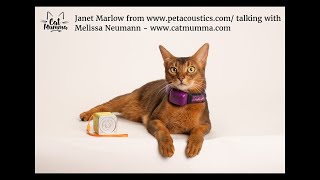 How Janet Marlow of Pet Acoustics created Pet Tunes to make the world a better place for all cats. by CatMumma Melissa Neumann 111 views 3 years ago 38 minutes