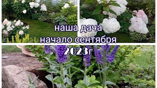 наша дача/начало сентября 2023г🍁