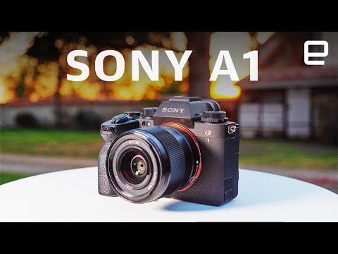 Sony A1 review: The Alpha of mirrorless cameras