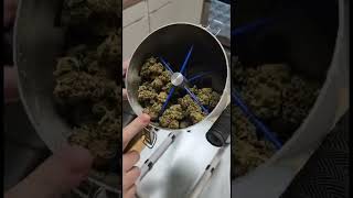 Athlete Statistics You really need this electric grinder for weed