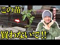 失敗しない苗の選び方７選