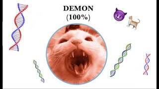 Thurston's Cat DNA Results (via Basepaws)