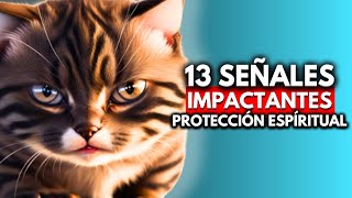 El increíble poder de protección espiritual de tu gato en 13 señales